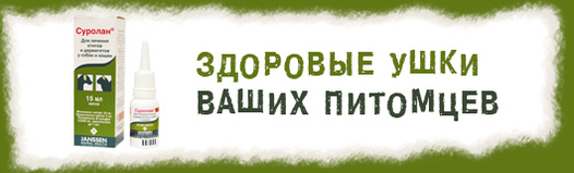 Суролан: суспензия для лечения отита