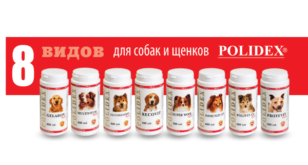 Витамины Полидекс: эффективная добавка для собак и кошек
