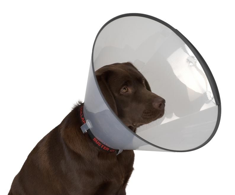  Воротник защитный 10 см KRUUSE Comfort